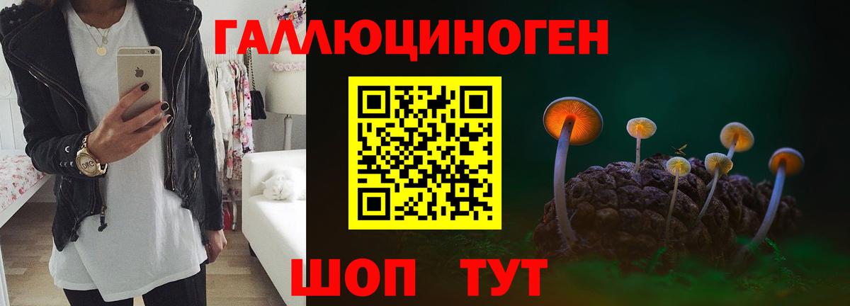 Галлюциногенные грибы GOLDEN TEACHER  Галлюциногенные грибы Magic Shrooms  Вход с VPN  Архангельск 